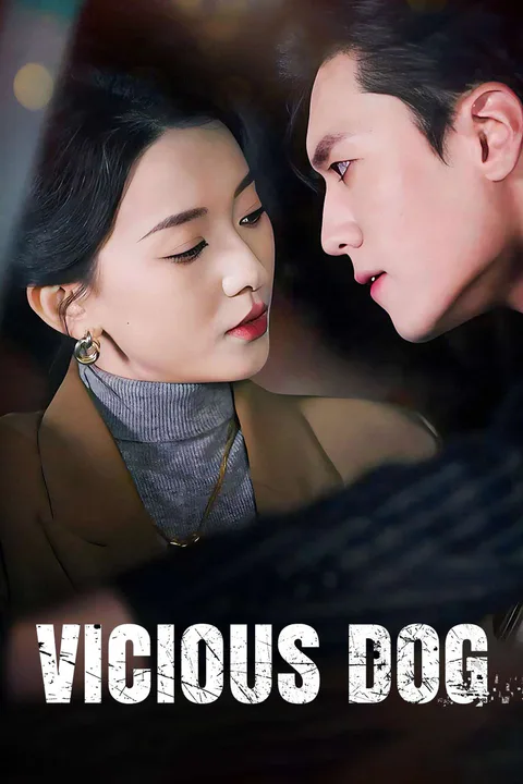 Vicious Dog poster