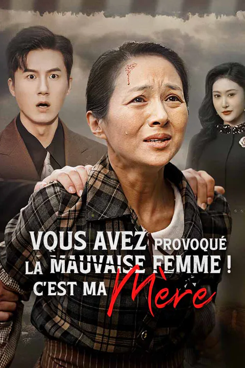 Affiche de Vous avez provoqué la mauvaise femme ! C'est ma Mère