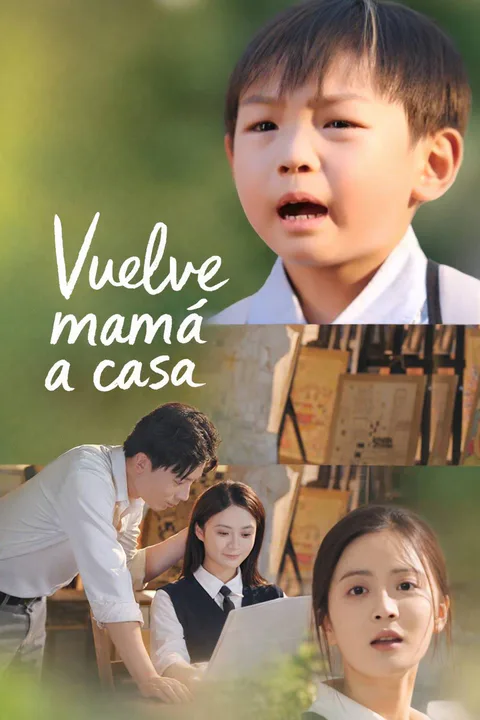Póster de Vuelve mamá a casa