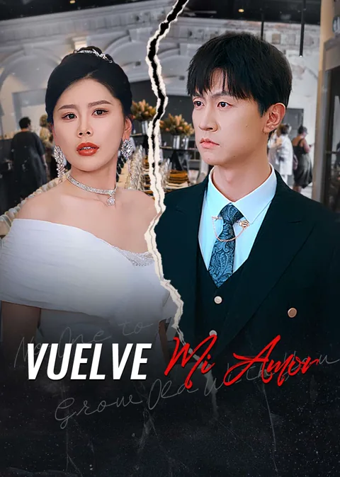Póster de Vuelve, mi amor