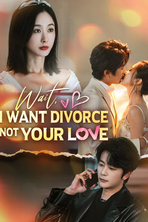 Wait, I Want Divorce Not Your Love poster