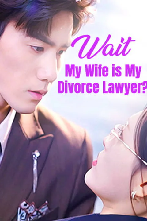Wait, My Wife is My Divorce Lawyer? poster