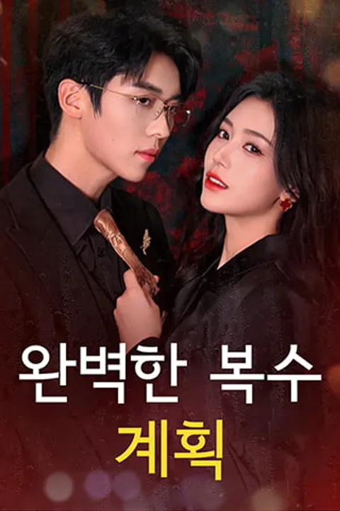 완벽한 복수 계획 포스터