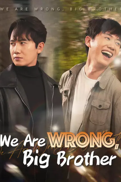 Affiche de We Are Wrong, Big Brother
