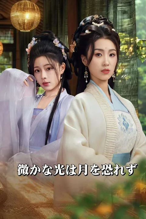 微かな光は月を恐れずのポスター