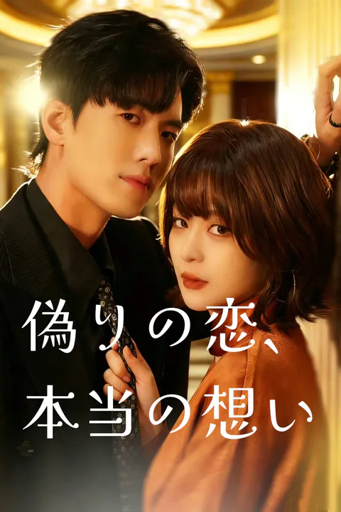 偽りの恋、本当の想いのポスター
