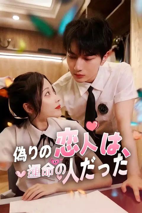 偽りの恋人は、運命の人だったのポスター
