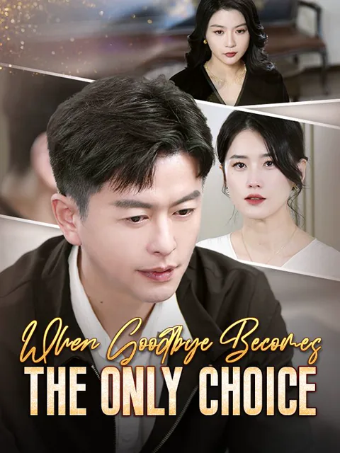 When Goodbye Becomes the Only Choice (DUBBED) poster