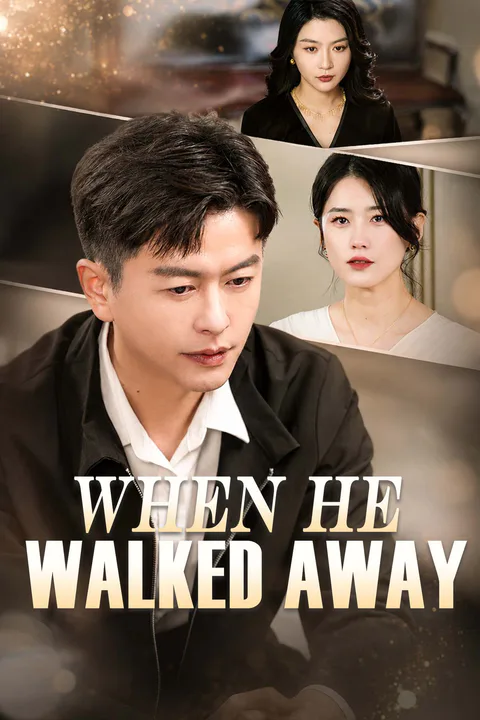 When He Walked Away poster