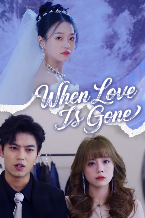 When Love Is Gone poster