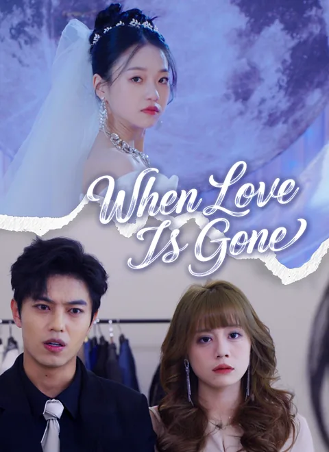 When Love Is Gone poster