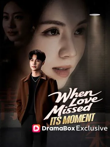 When Love Missed Its Moment（DUBBED） poster