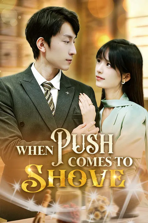 When Push Comes To Shove poster