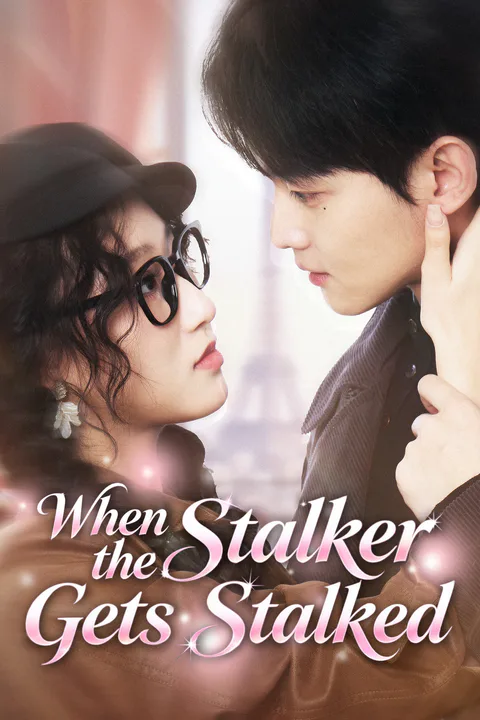 When the Stalker Gets Stalked poster