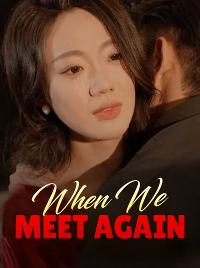 When We Meet Again poster