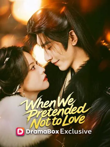 When We Pretended Not to Love poster