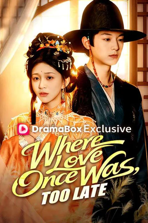 Where Love Once Was, Too Late poster
