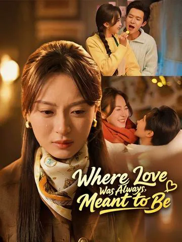 Where Love Was Always Meant to Be poster