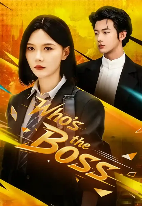 Who's the Boss poster