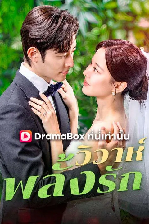 โปสเตอร์ วิวาห์พลั้งรัก