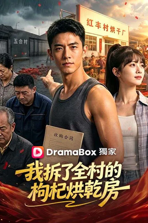 《我拆了全村的枸杞烘乾房》海報