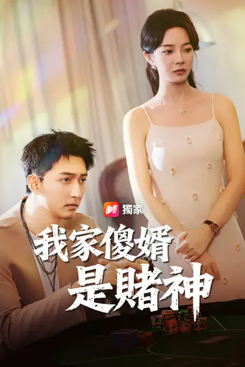 《我家傻婿是賭神》海報
