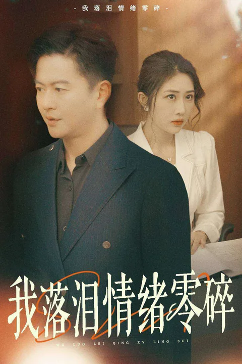 《我落泪情绪零碎》海报