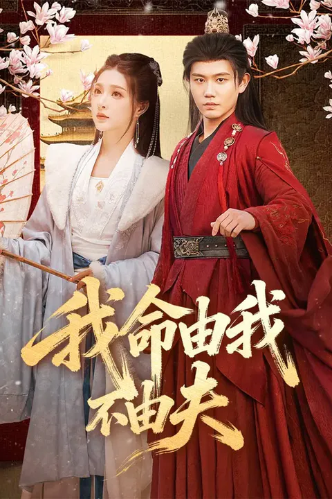 《我命由我不由夫》海報