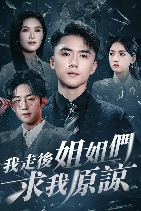 《我走後姐姐們求我原諒》海報