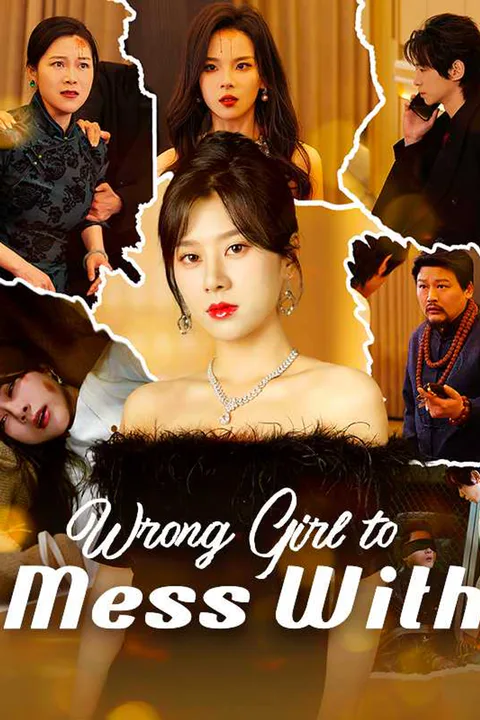 Wrong Girl to Mess With poster