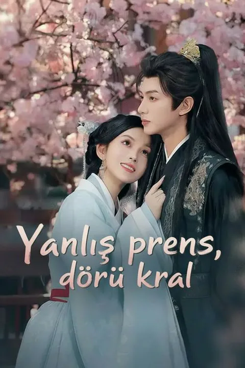 Wrong Prince, Right King poster