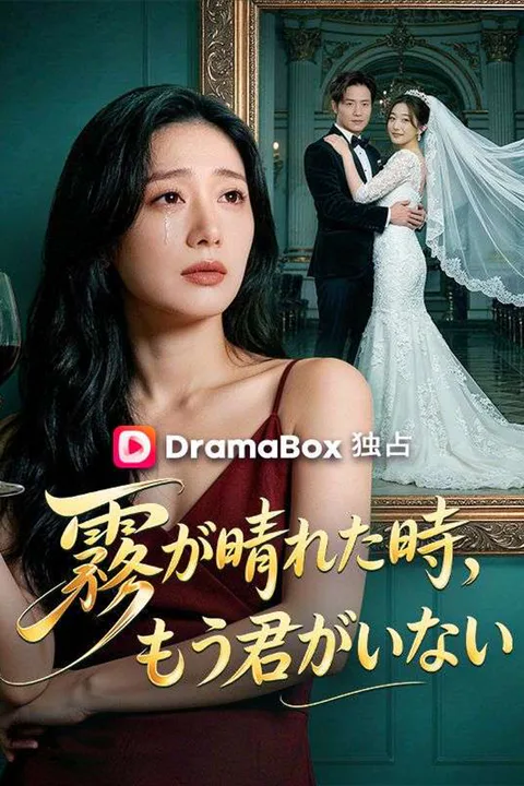 霧が晴れた時、もう君がいないのポスター