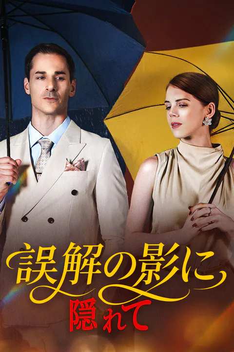 誤解の影に隠れてのポスター