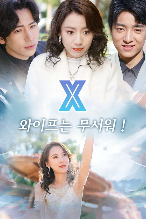 X 와이프는 무서워 ! 포스터