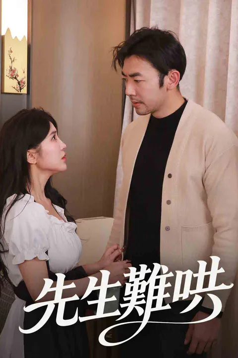 《先生難哄》海報