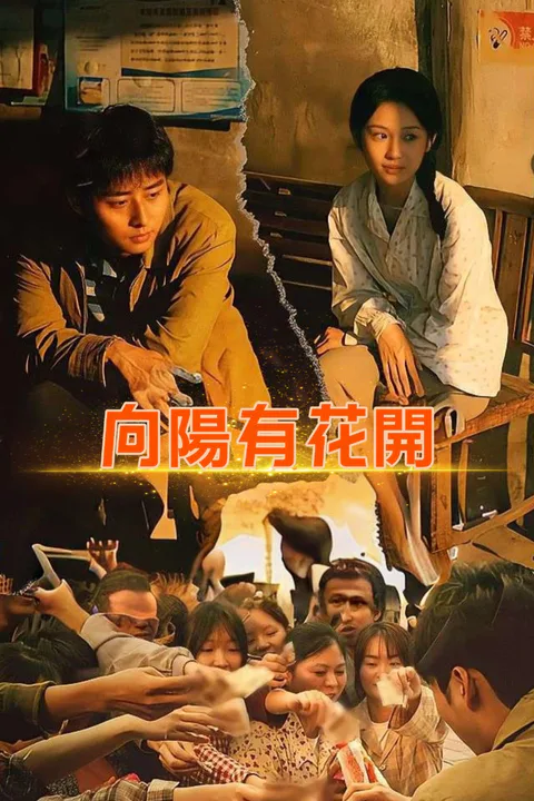《向陽有花開》海報