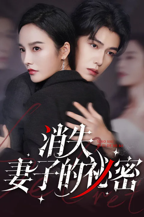 《消失妻子的祕密》海報