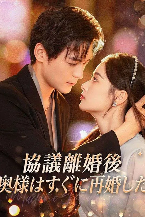 協議離婚後、奥様はすぐに再婚したのポスター