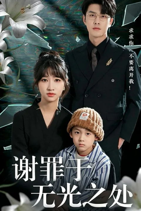 《谢罪于无光之处》海报
