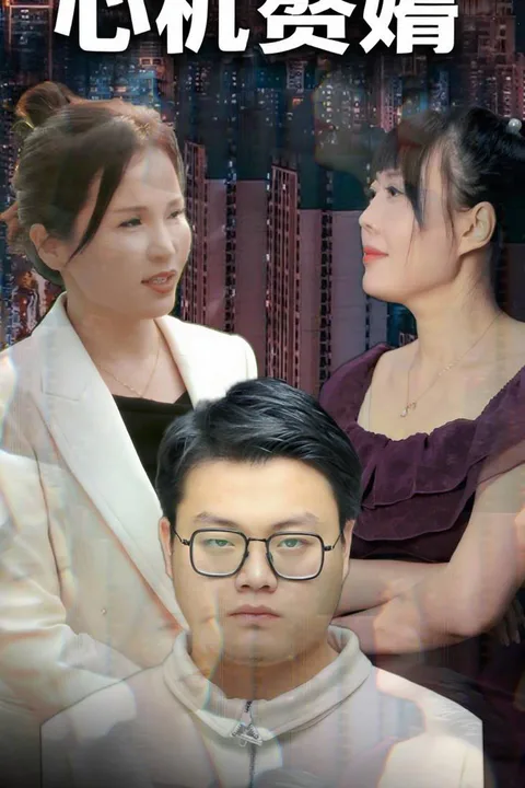 《心机赘婿》海报
