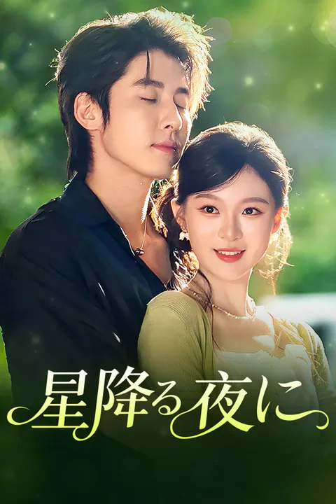 星降る夜にのポスター