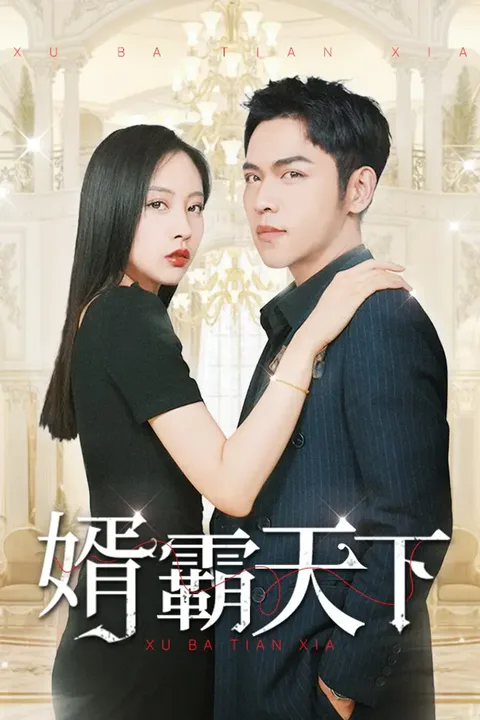《婿霸天下》海報