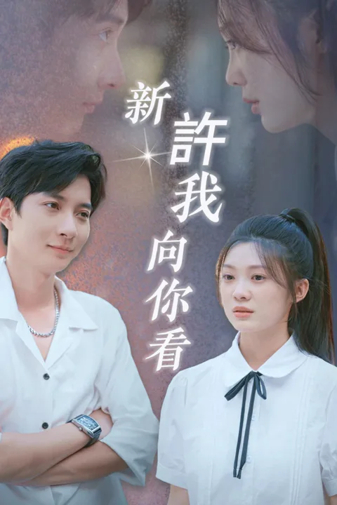 《許我向你看》海報