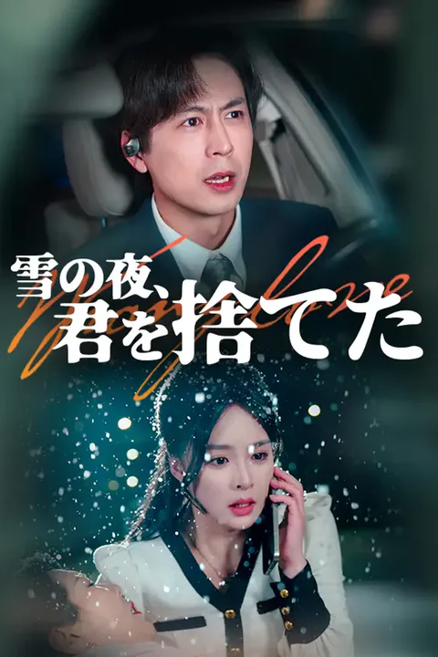 雪の夜、君を捨てたのポスター