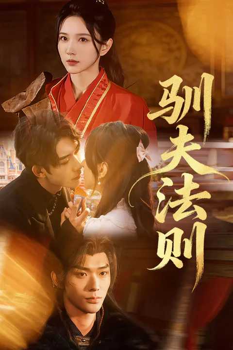 《驯夫法则》海报
