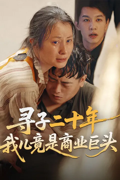 《寻子二十年，我儿竟是商业巨头》海报