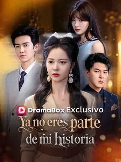 Póster de Ya no eres parte de mi historia