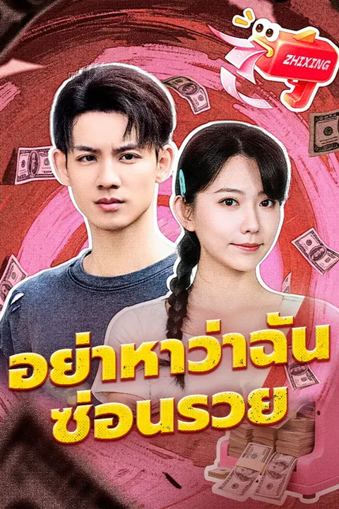 โปสเตอร์ อย่าหาว่าฉันซ่อนรวย