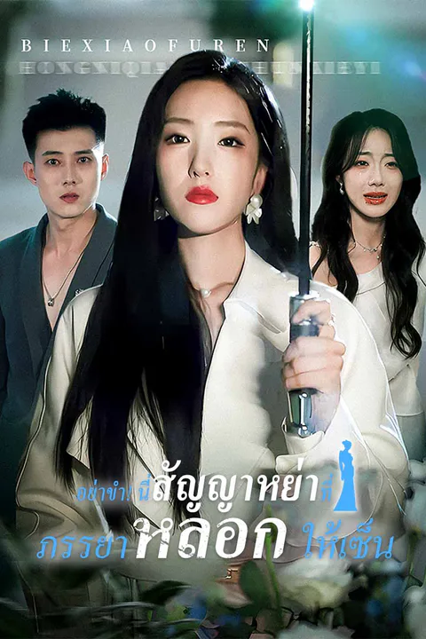 โปสเตอร์ อย่าขำ! นี่สัญญาหย่าที่ภรรยาหลอกให้เซ็น