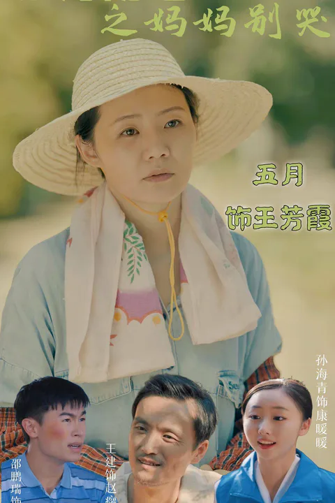 《养儿防老之妈妈别哭》海报